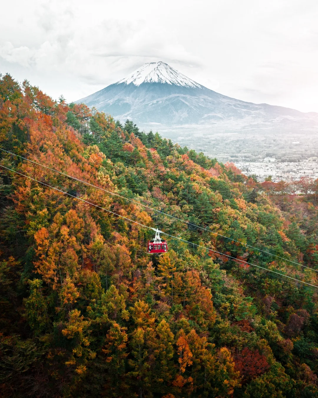 Mt Fuji from the cable car, autumn foliage