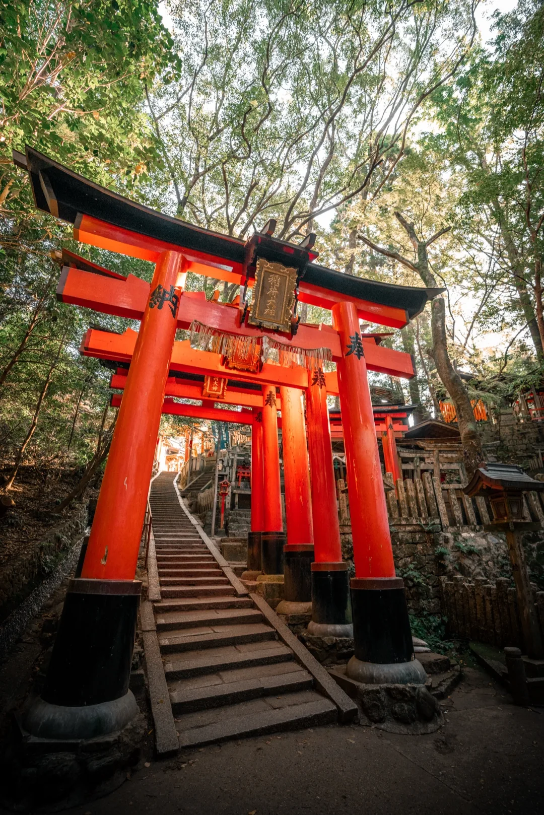 Fushimi Inari with autumn leaves
